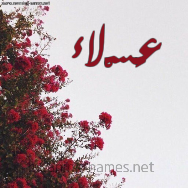 شكل 18 صوره الورد الأحمر للإسم بخط رقعة صورة اسم عَسْلاء AASLAA