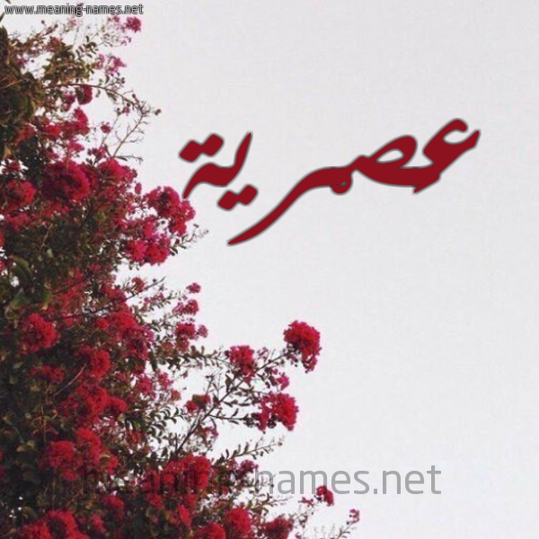 شكل 18 صوره الورد الأحمر للإسم بخط رقعة صورة اسم عَصْرية AASRIH