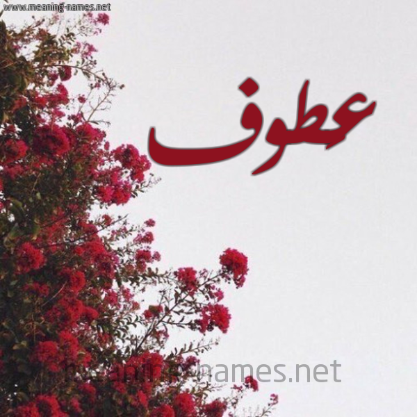 شكل 18 صوره الورد الأحمر للإسم بخط رقعة صورة اسم عَطوف AATOF