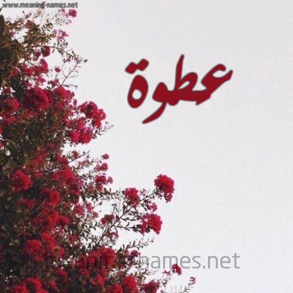 شكل 18 صوره الورد الأحمر للإسم بخط رقعة صورة اسم عَطْوة AATOH