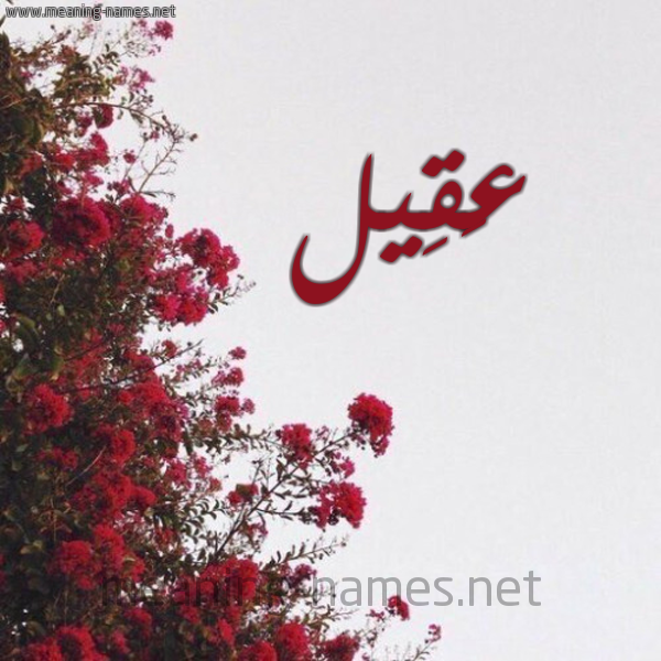 شكل 18 صوره الورد الأحمر للإسم بخط رقعة صورة اسم عَقِيل Aqeel