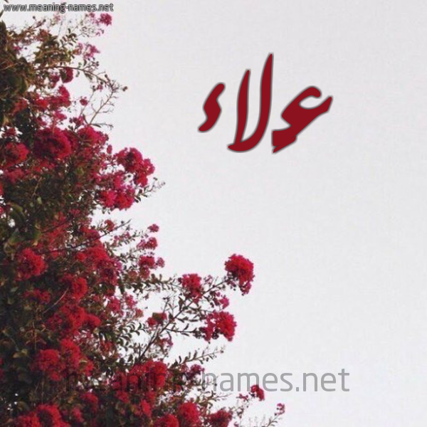 شكل 18 صوره الورد الأحمر للإسم بخط رقعة صورة اسم عَلاء Alaa