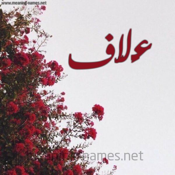 شكل 18 صوره الورد الأحمر للإسم بخط رقعة صورة اسم عَلاَّف AALAAF