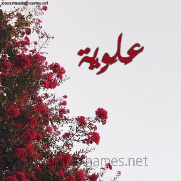 شكل 18 صوره الورد الأحمر للإسم بخط رقعة صورة اسم عَلَوِيَّة AALAOEIAH