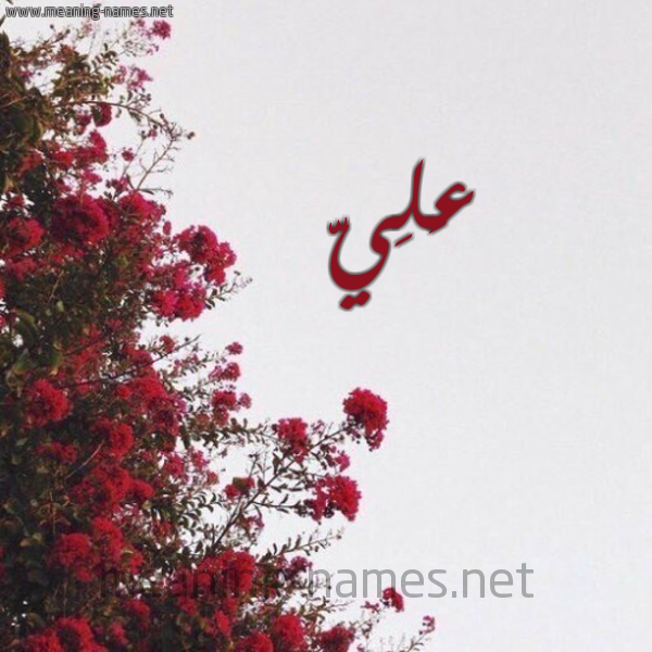 شكل 18 صوره الورد الأحمر للإسم بخط رقعة صورة اسم عَلِيّ AALEI