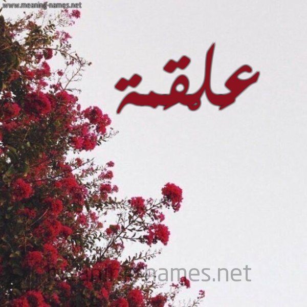 شكل 18 صوره الورد الأحمر للإسم بخط رقعة صورة اسم عَلْقَمة AALQAMH