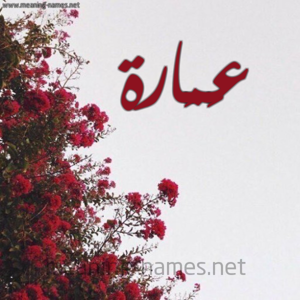 شكل 18 صوره الورد الأحمر للإسم بخط رقعة صورة اسم عَمَارة AAMAARH