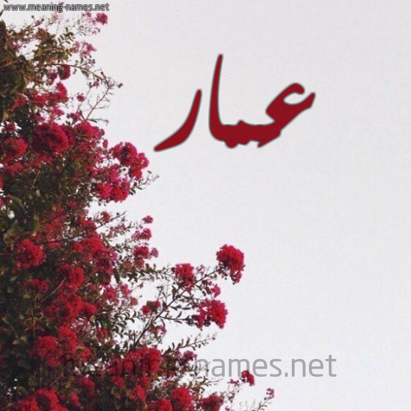 شكل 18 صوره الورد الأحمر للإسم بخط رقعة صورة اسم عَمّار Amaar
