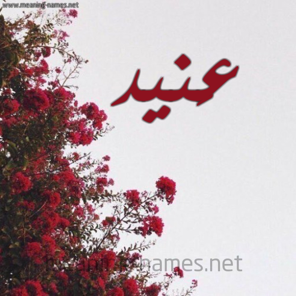 شكل 18 صوره الورد الأحمر للإسم بخط رقعة صورة اسم عَنيد AANID