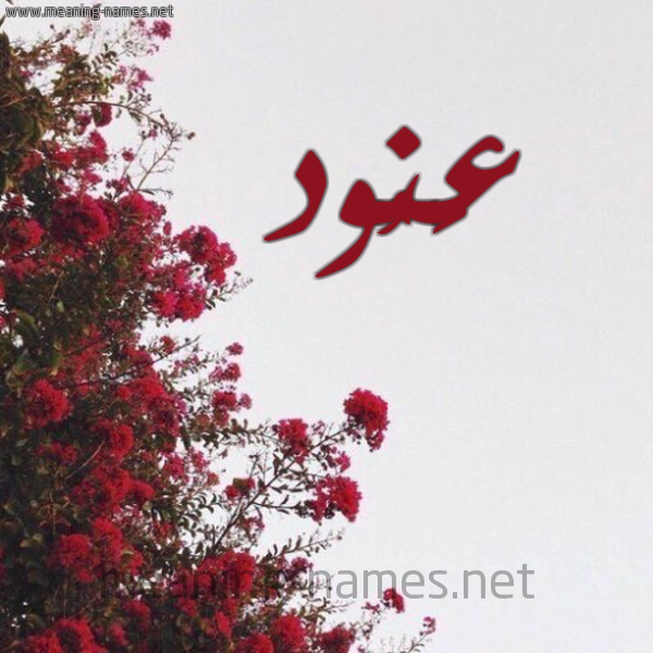 شكل 18 صوره الورد الأحمر للإسم بخط رقعة صورة اسم عَنُود AANOOD