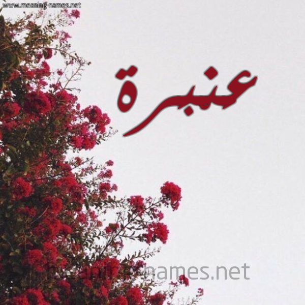شكل 18 صوره الورد الأحمر للإسم بخط رقعة صورة اسم عَنْبَرة AANBARH