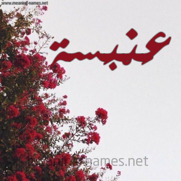 شكل 18 صوره الورد الأحمر للإسم بخط رقعة صورة اسم عَنْبَسة AANBASH