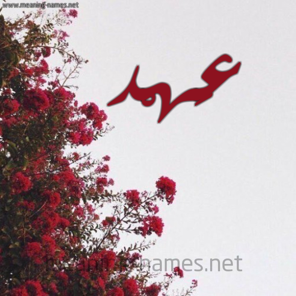 شكل 18 صوره الورد الأحمر للإسم بخط رقعة صورة اسم عَهْد Ahd