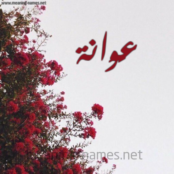 شكل 18 صوره الورد الأحمر للإسم بخط رقعة صورة اسم عَوَانة AAOAANH