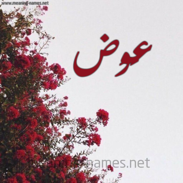 شكل 18 صوره الورد الأحمر للإسم بخط رقعة صورة اسم عَوَض AAOAD