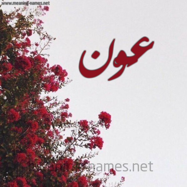 شكل 18 صوره الورد الأحمر للإسم بخط رقعة صورة اسم عَوْن AAON