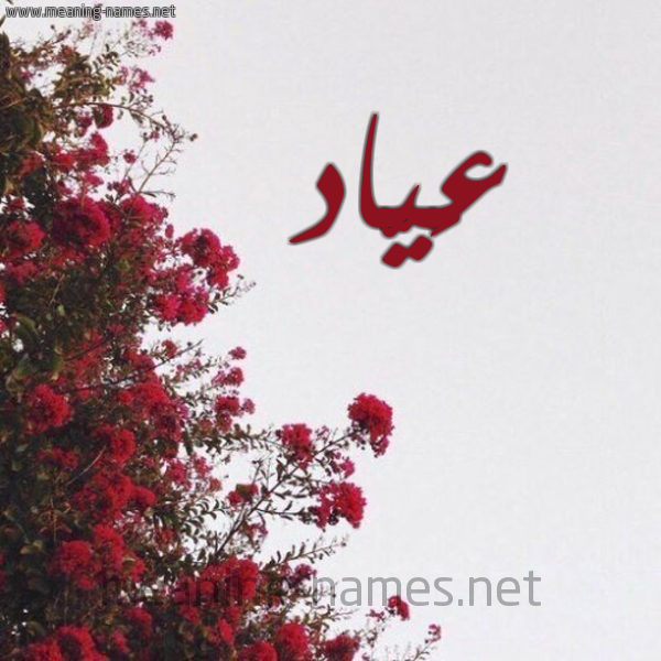 شكل 18 صوره الورد الأحمر للإسم بخط رقعة صورة اسم عَيّاد AAIAD