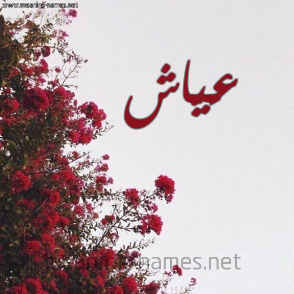 شكل 18 صوره الورد الأحمر للإسم بخط رقعة صورة اسم عَيّاش AAIASH