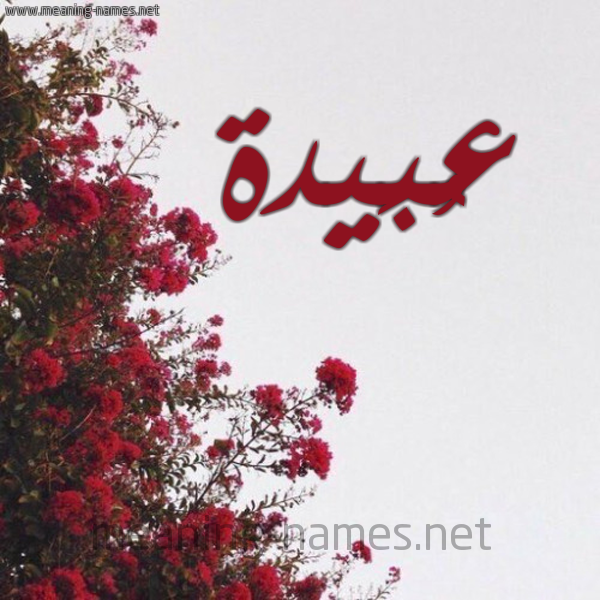 شكل 18 صوره الورد الأحمر للإسم بخط رقعة صورة اسم عُبَيدة Aobida