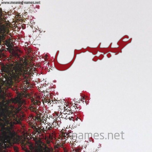 شكل 18 صوره الورد الأحمر للإسم بخط رقعة صورة اسم عُبَيْس AOBAIS