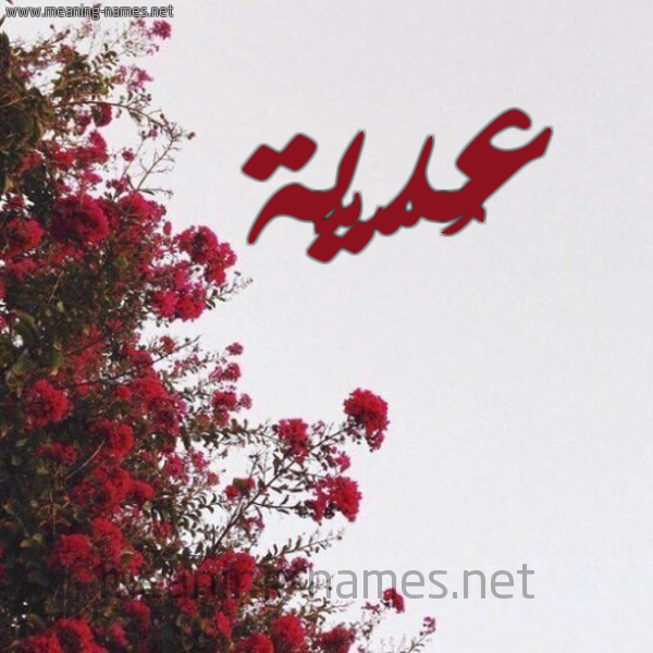 شكل 18 صوره الورد الأحمر للإسم بخط رقعة صورة اسم عُدّيَّة AODIAH