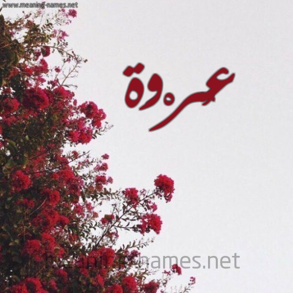 شكل 18 صوره الورد الأحمر للإسم بخط رقعة صورة اسم عُرْوَة Orwa
