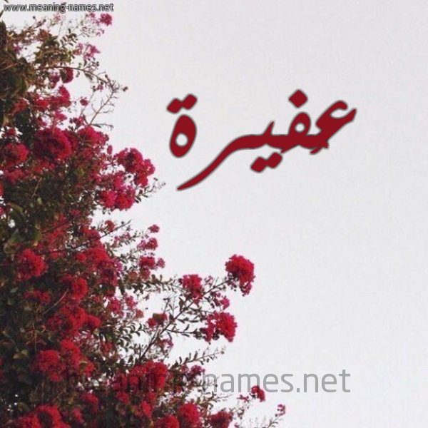 شكل 18 صوره الورد الأحمر للإسم بخط رقعة صورة اسم عُفَيرة AOFAIRH