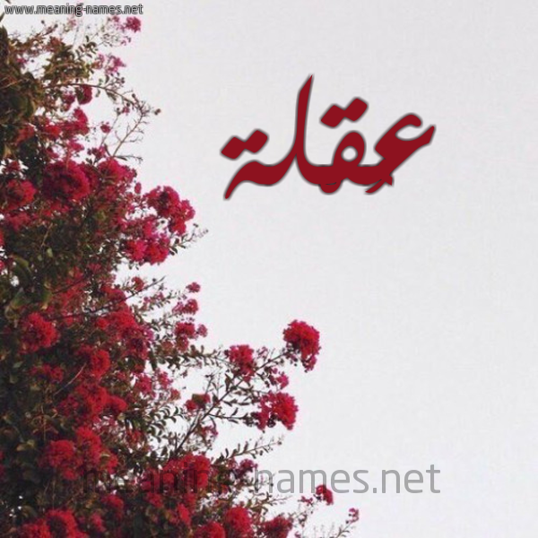 شكل 18 صوره الورد الأحمر للإسم بخط رقعة صورة اسم عُقْلة AOQLH