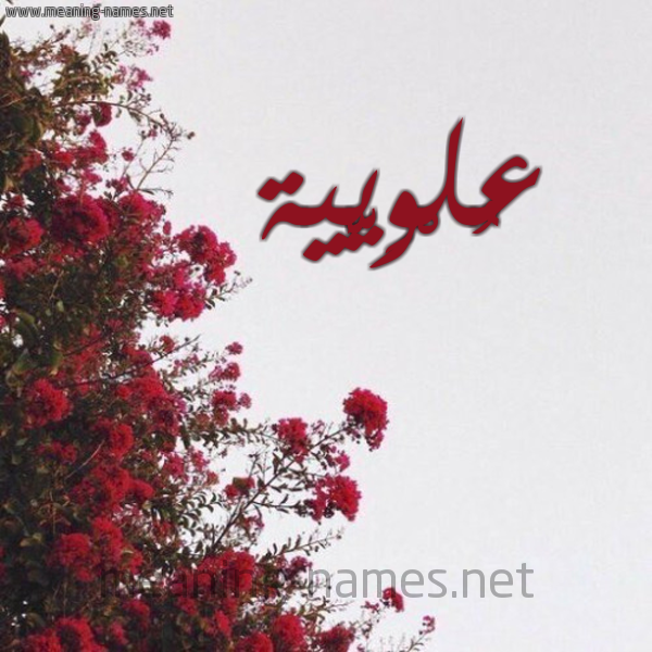 شكل 18 صوره الورد الأحمر للإسم بخط رقعة صورة اسم عُلْوِيَّية AOLOEIAIH