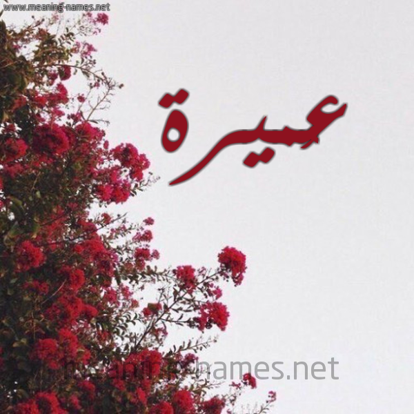 شكل 18 صوره الورد الأحمر للإسم بخط رقعة صورة اسم عُميرة AOMIRa