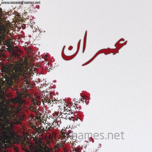 شكل 18 صوره الورد الأحمر للإسم بخط رقعة صورة اسم عُمْران omran