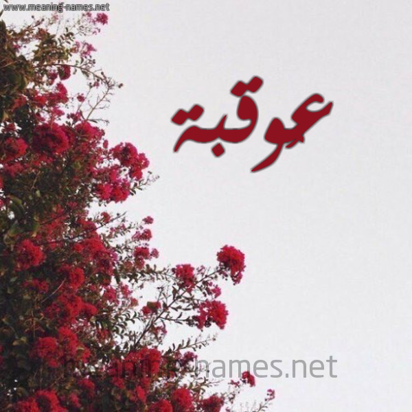 شكل 18 صوره الورد الأحمر للإسم بخط رقعة صورة اسم عُوقبة Oqbah