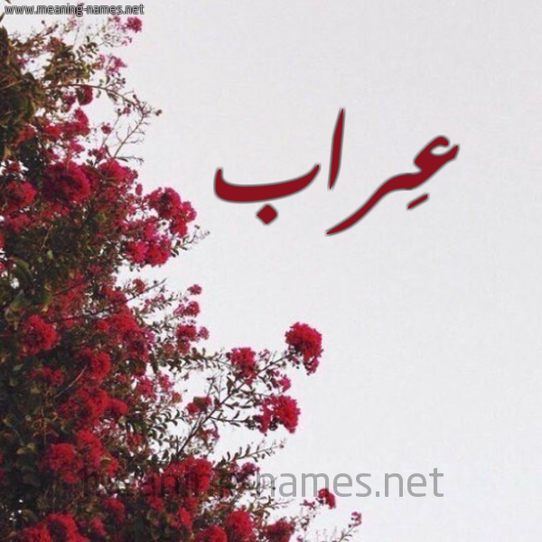 شكل 18 صوره الورد الأحمر للإسم بخط رقعة صورة اسم عِراب AERAB