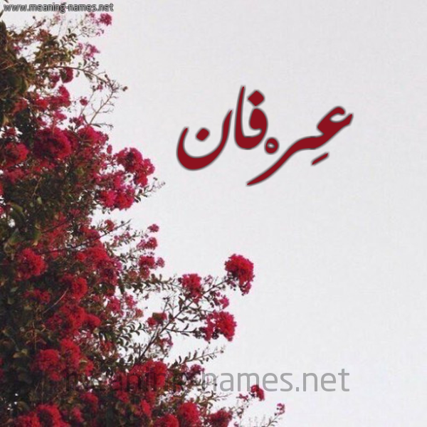 شكل 18 صوره الورد الأحمر للإسم بخط رقعة صورة اسم عِرْفان AERFAN