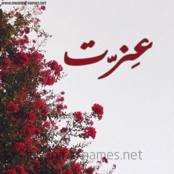 شكل 18 صوره الورد الأحمر للإسم بخط رقعة صورة اسم عِزَّت AEZAT