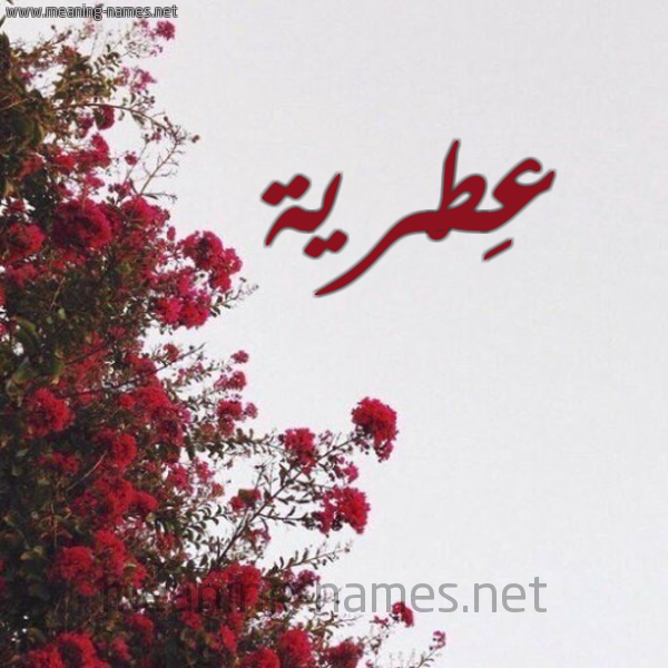 شكل 18 صوره الورد الأحمر للإسم بخط رقعة صورة اسم عِطْرية AETRIH