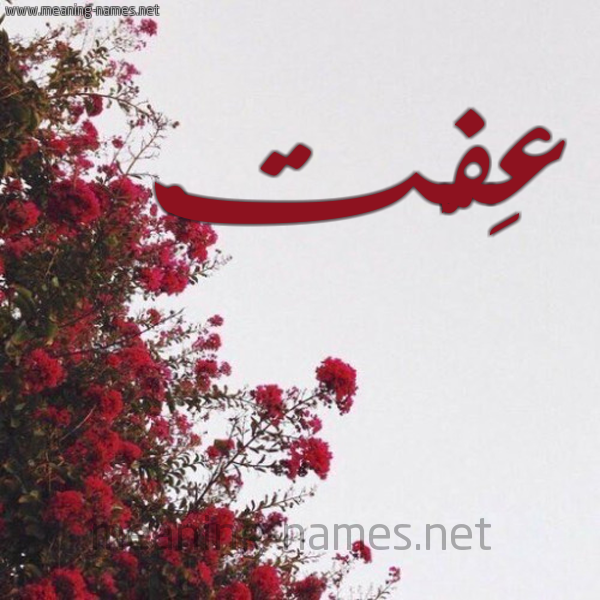 شكل 18 صوره الورد الأحمر للإسم بخط رقعة صورة اسم عِفَّتْ AEFAT
