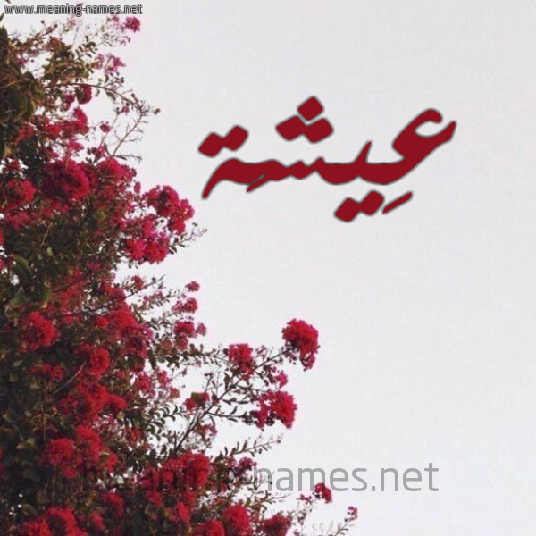 شكل 18 صوره الورد الأحمر للإسم بخط رقعة صورة اسم عِيشَة AEISHAH