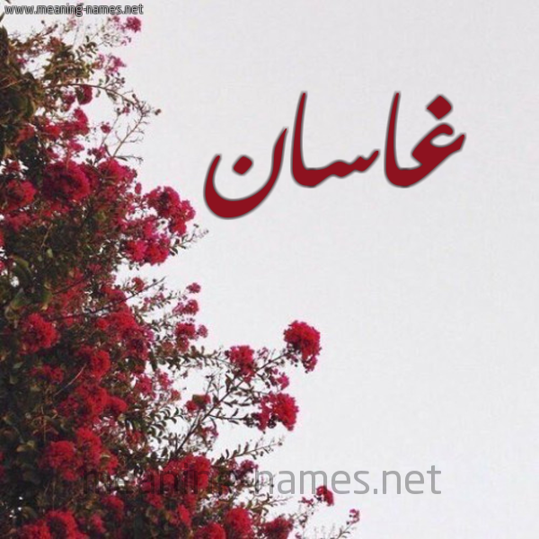 شكل 18 صوره الورد الأحمر للإسم بخط رقعة صورة اسم غاسان Ghassan