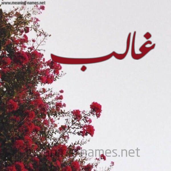 شكل 18 صوره الورد الأحمر للإسم بخط رقعة صورة اسم غالب Ghalb