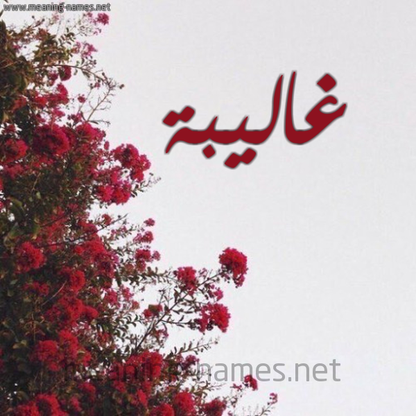شكل 18 صوره الورد الأحمر للإسم بخط رقعة صورة اسم غاليبة Ghalibah