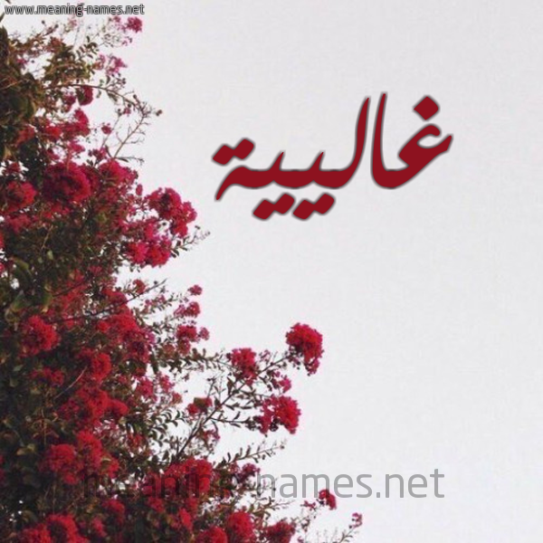 شكل 18 صوره الورد الأحمر للإسم بخط رقعة صورة اسم غاليية Galiyah