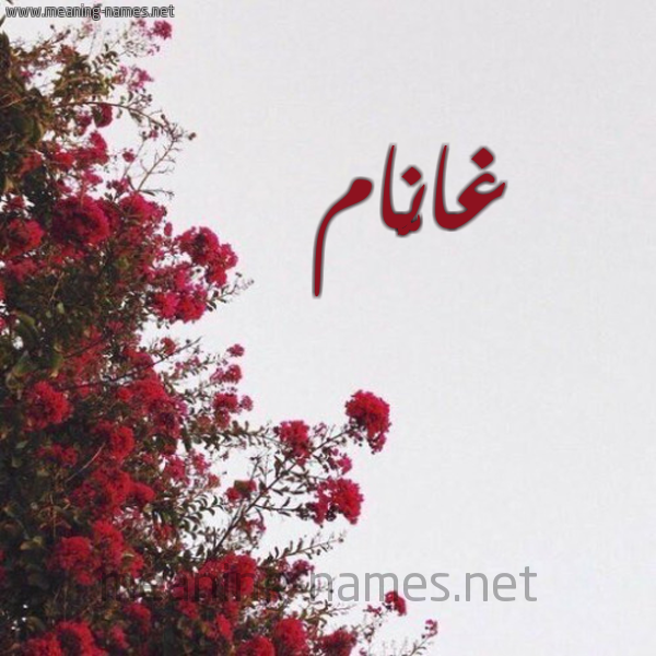 شكل 18 صوره الورد الأحمر للإسم بخط رقعة صورة اسم غانَّام Ghannam