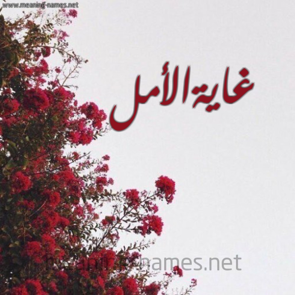شكل 18 صوره الورد الأحمر للإسم بخط رقعة صورة اسم غايةالأمل Ghayhal'aml