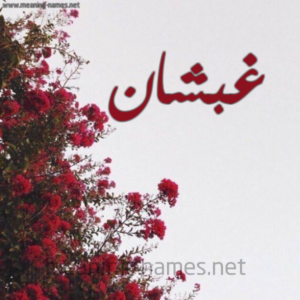 شكل 18 صوره الورد الأحمر للإسم بخط رقعة صورة اسم غبشان Ghbshan