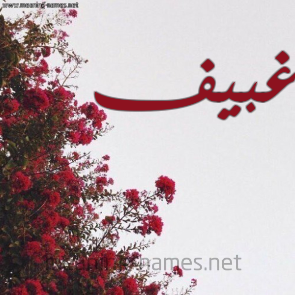 شكل 18 صوره الورد الأحمر للإسم بخط رقعة صورة اسم غبيف Gheif