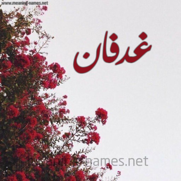 شكل 18 صوره الورد الأحمر للإسم بخط رقعة صورة اسم غدفان Ghdfan
