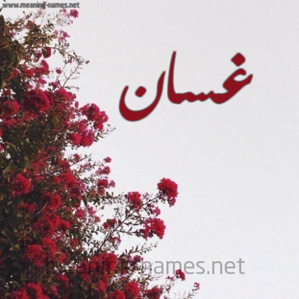 شكل 18 صوره الورد الأحمر للإسم بخط رقعة صورة اسم غسان Ghsan