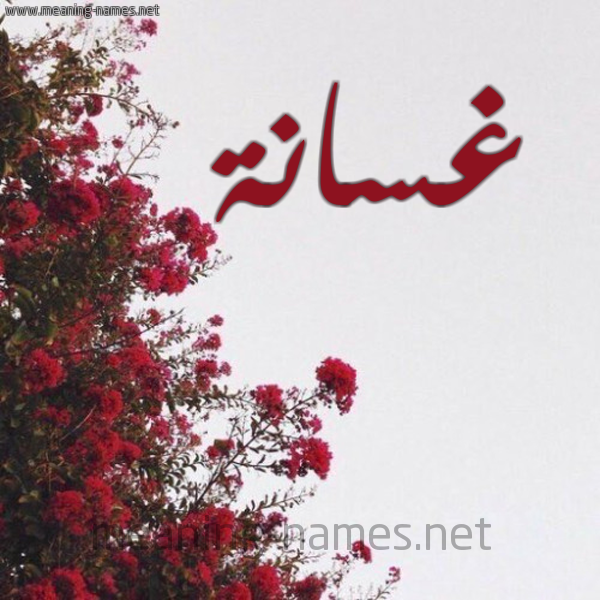 شكل 18 صوره الورد الأحمر للإسم بخط رقعة صورة اسم غسانة GHSANH
