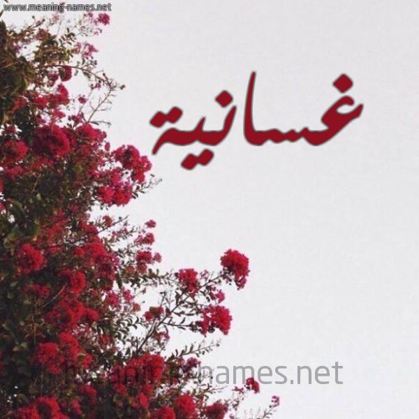 شكل 18 صوره الورد الأحمر للإسم بخط رقعة صورة اسم غسانية Ghsanyh